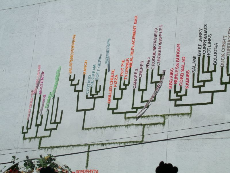 Floating Food Mural.