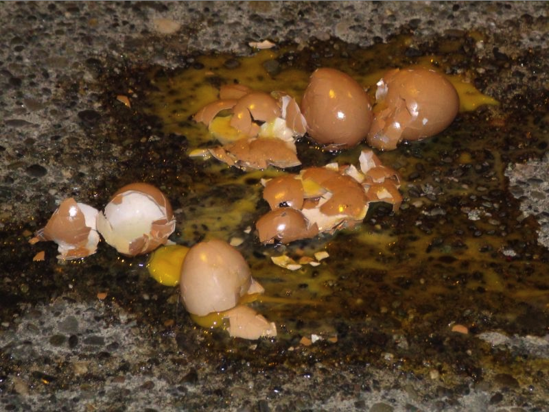 Despite complaints, it was not hot enough to fry eggs on the sidewalk Saturday.
