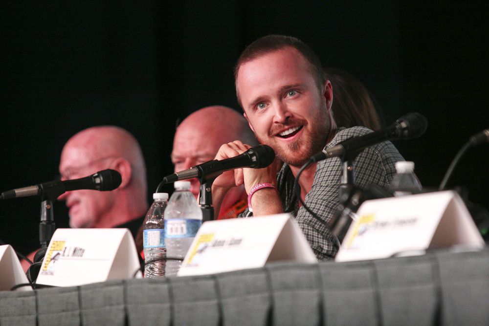 Aaron Paul of Breaking Bad