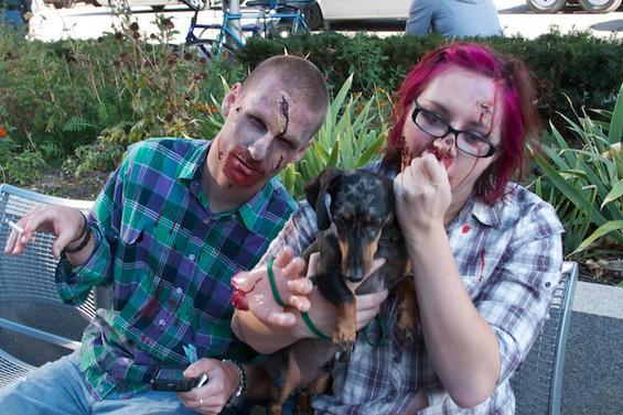 Zombies in Denver, Colorado