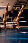 McCrory and Boudia completing a dive.