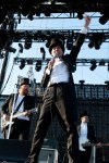 The Hives
