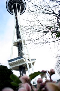 On Saturday hundreds of dancers gathered at the Seattle Center fountain to