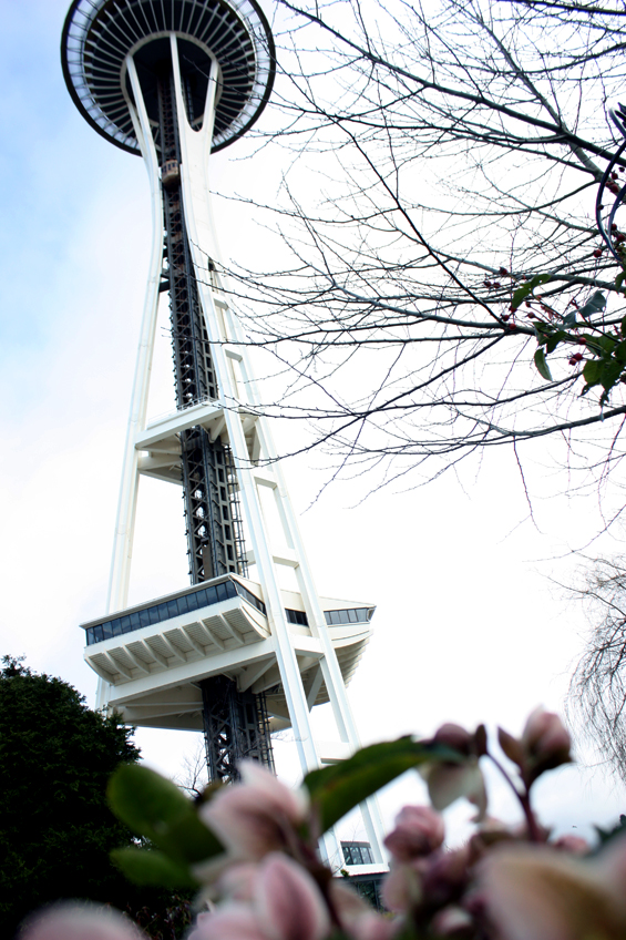 On Saturday hundreds of dancers gathered at the Seattle Center fountain to