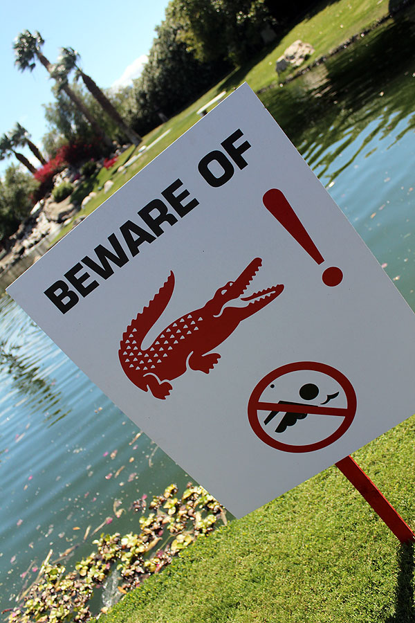 Some kind soul played host in Thermal for the Lacoste Live Pool