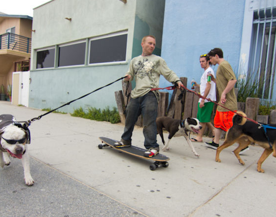 Whoa, dude, that looks stressful.