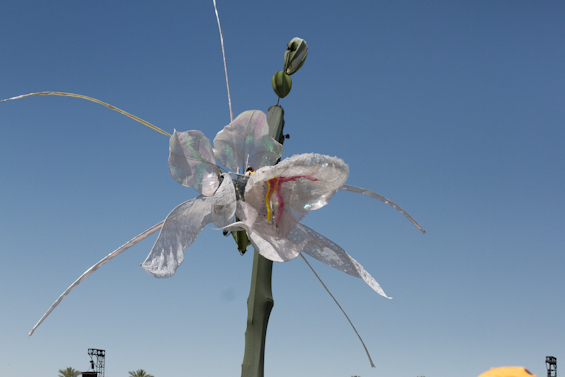 A look at the musicians who make Coachella such a special time