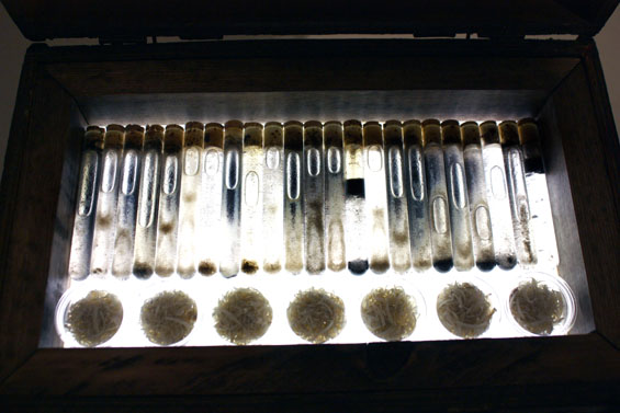 On the first Thursday of every month, Pioneer Square hosts free gallery