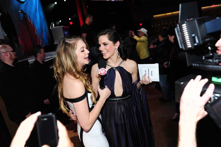 The AVN (Adult Video News) are commonly known as "the Oscars of