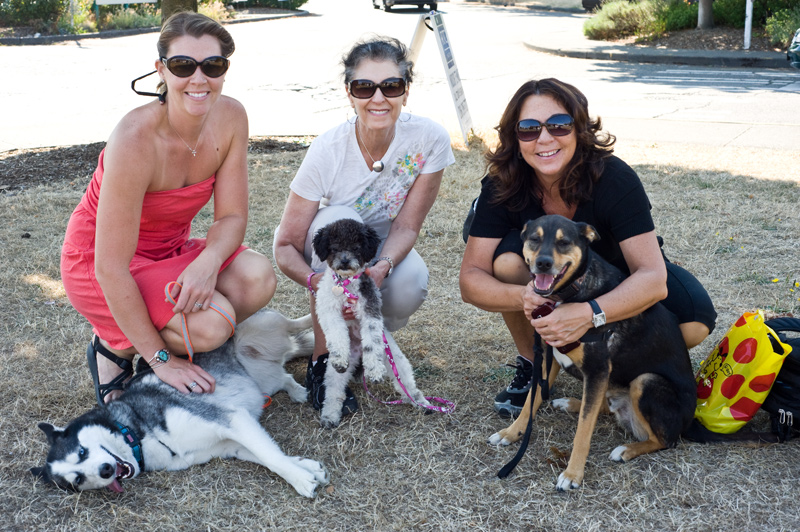 Marlee, Lola, and DB with owners Cathy Hubbell, Donna Rae, Patty Mangano.