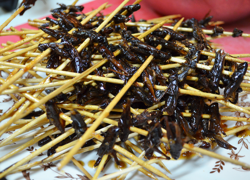 Petite Locust kabobs hot off the grill.