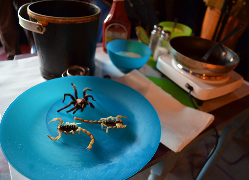 A tarantula and two scorpions wait to be fried.
