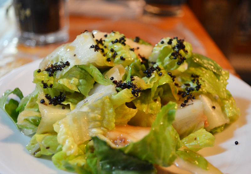 Late summer salad with Mountain Polyrachis (Chinese ants).