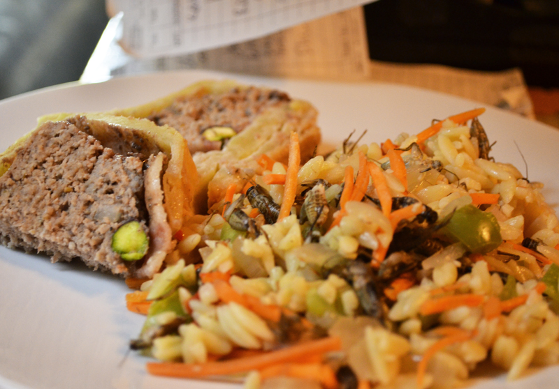 The main course; Tenebrio Terrine (mealworm pate) and Orthpteran Orzo (crickets).