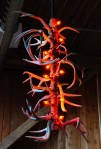 Horny lights, made from antlers by Christopher Williams.