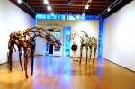 Deborah Butterfield's sculptures at the Greg Kucera Gallery.
