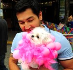 Robin Malch holds Rocky Malch at the Seattle Pride Parade Doggie Drag show.