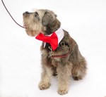 Chico keeps it classy- dressed by Emma Moreno and Genevieve Aguila.