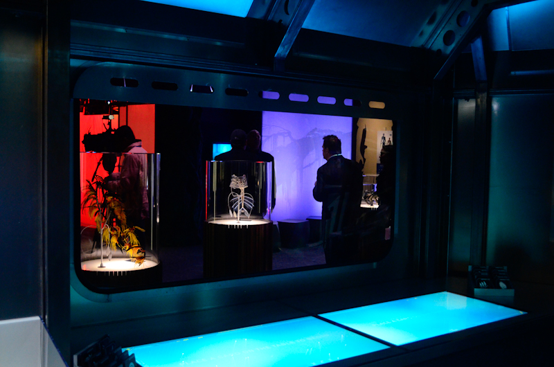 Seattle got a little bit Hollywood Friday with a "blue" carpet celebrity