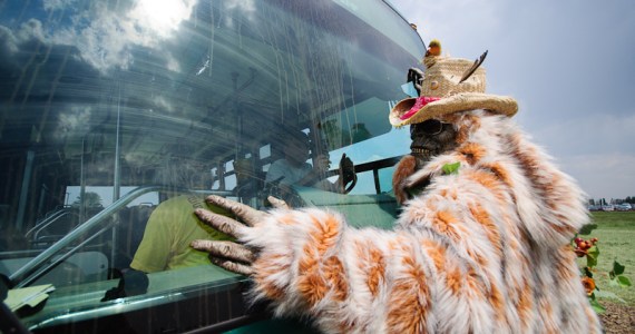 The musicians at Sasquatch! always put on quite a show - this
