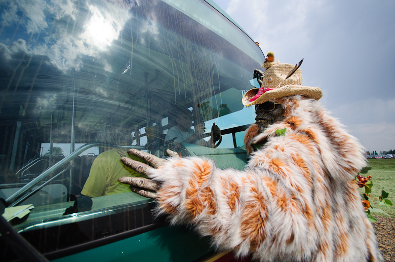 The musicians at Sasquatch! always put on quite a show - this