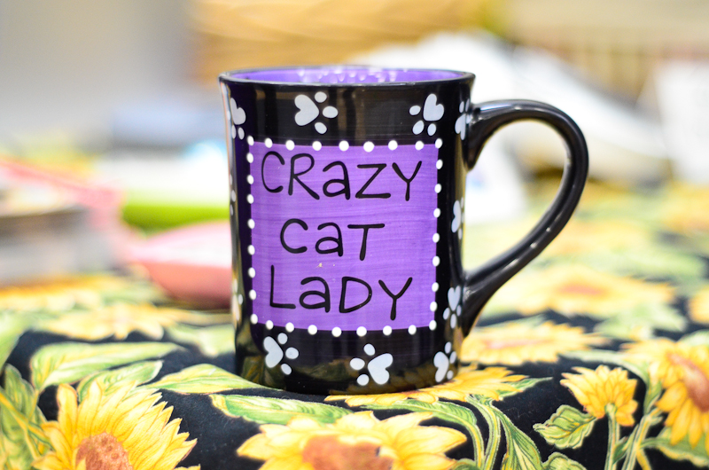 Anything but average, the 8th annual cat show put on by Purrfect