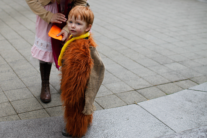 Cinco de Mayo got a lot brighter last night when Nick Cave