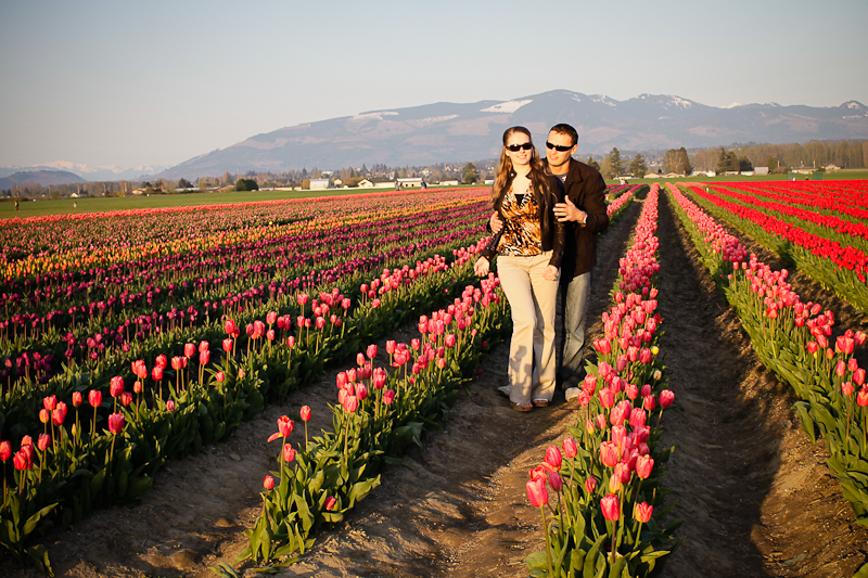 They are like a rainbow or a bag of Skittles! The tulips