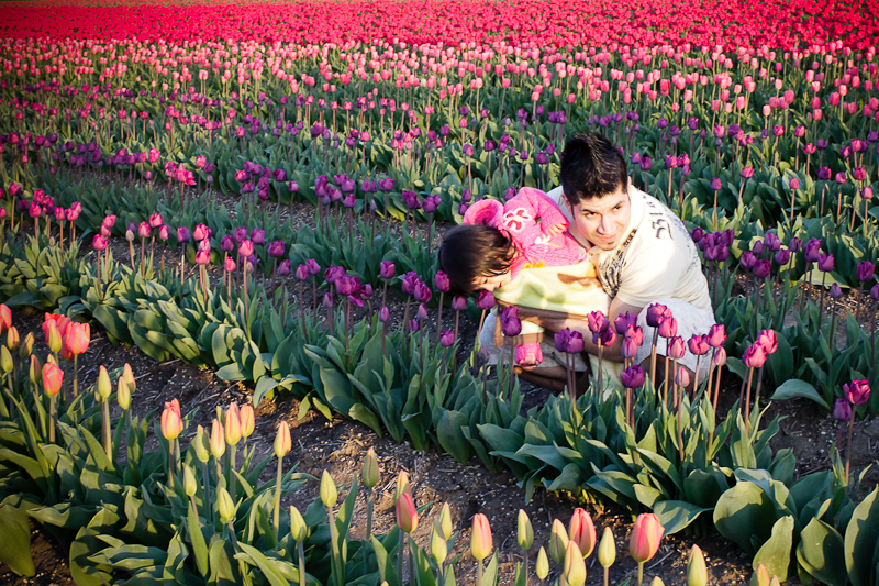 They are like a rainbow or a bag of Skittles! The tulips
