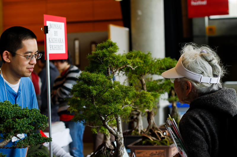 Part of the Festal series hosted by the Seattle Center, this year's