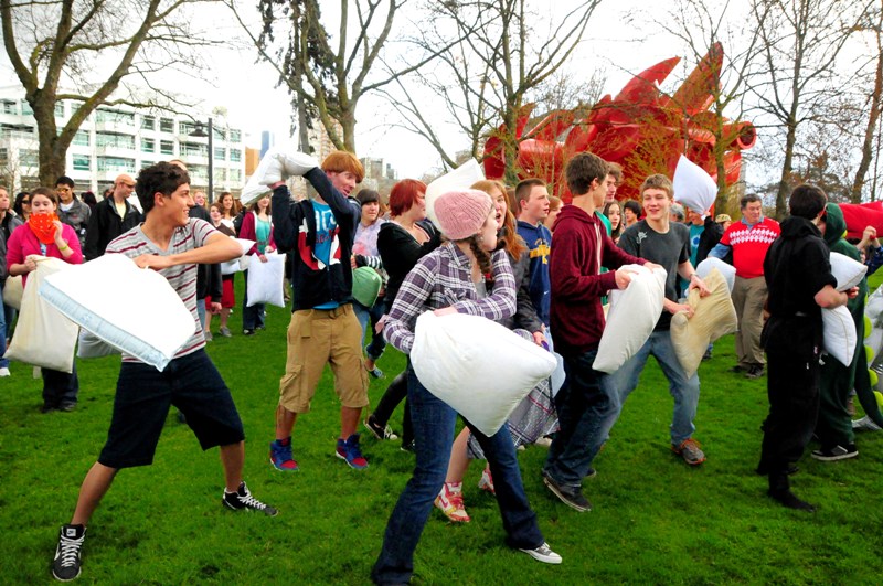 ...and the mayhem begins.