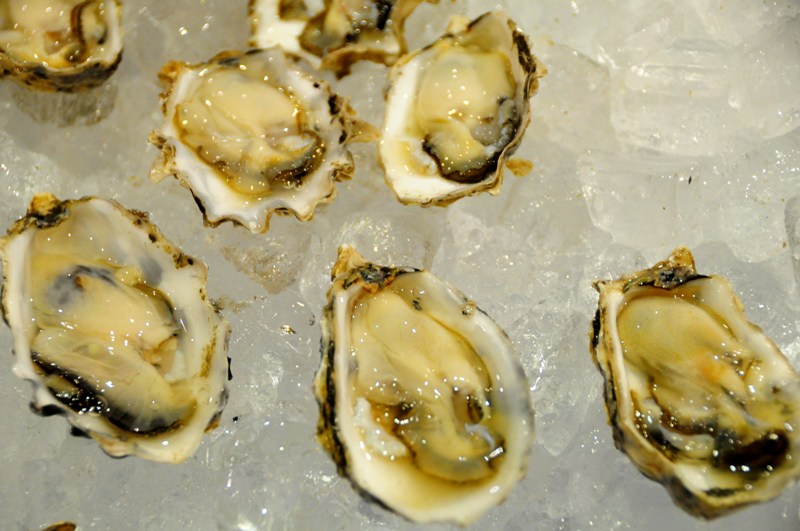 Food and wine fans stuffed their gullets yesterday at Taste Washington, one