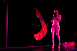 In May, Lucha VaVoom! rolled into Seattle and kept its audience very entertained with wrestling matches and sexy performances.