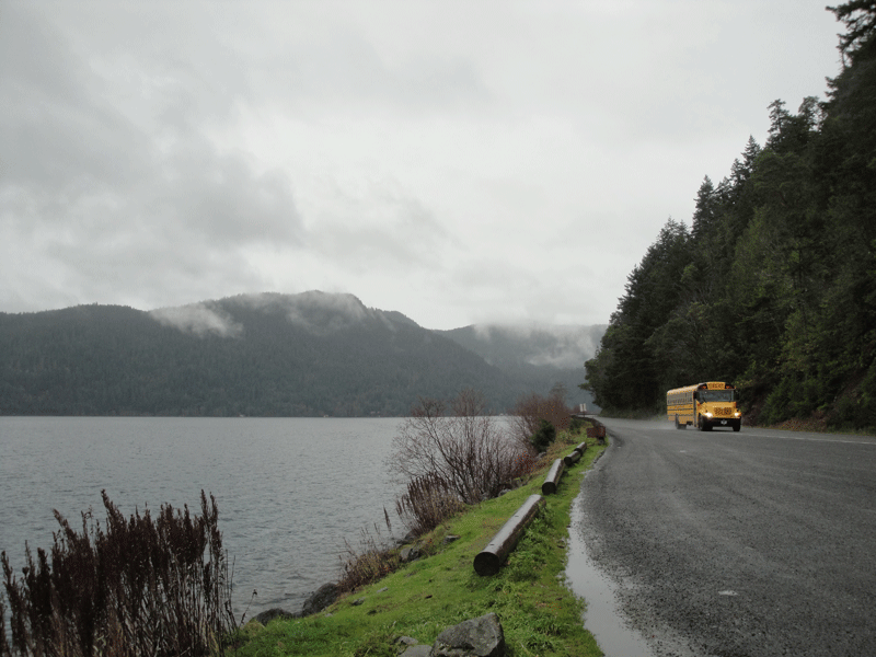 The road to Forks takes travelers through the Olympic National Park. Driving through the park's thick forests and stopping to admire its natural beauty is almost enough to warrant a trip to Forks on its own.