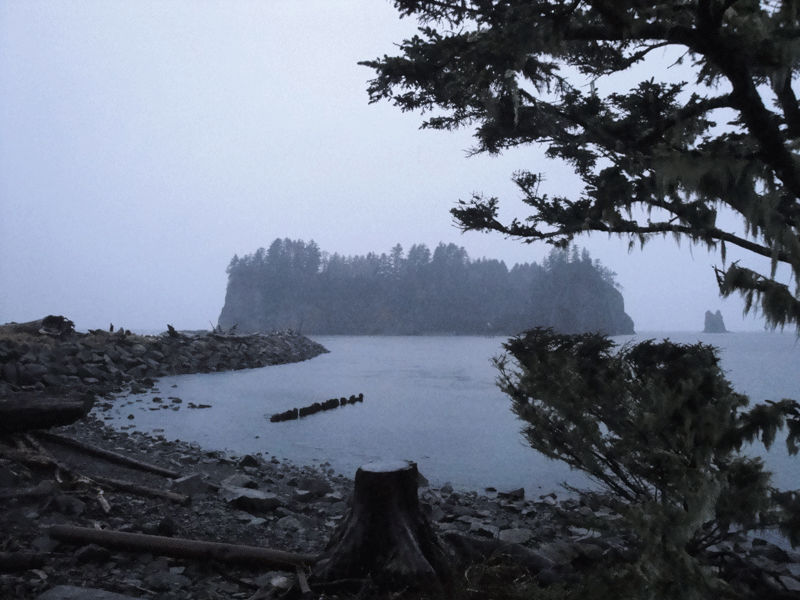 The La Push Indian Reservation, where werewolf Jacob Black lives, was the highlight of the entire trip. The rocky islands rising from the water look majestic, and the view of the ocean is breathtaking.