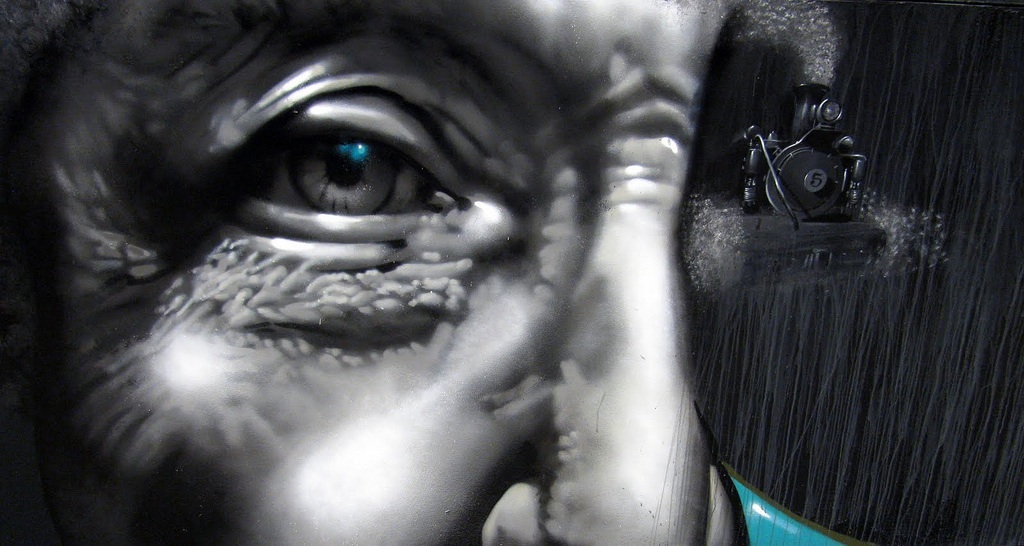 Shown at the 2010 Street Art Biennale