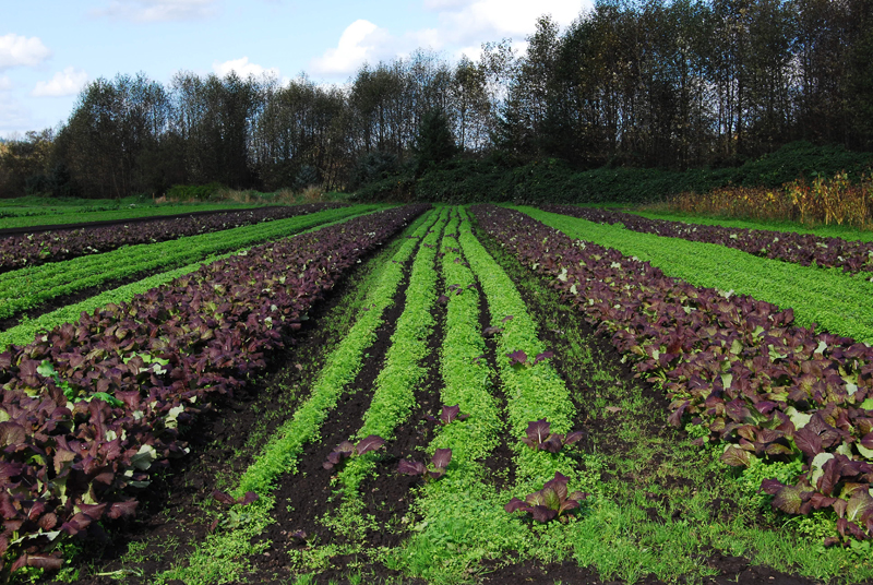 The fact that readers adore Full Circle Farm made us wonder -