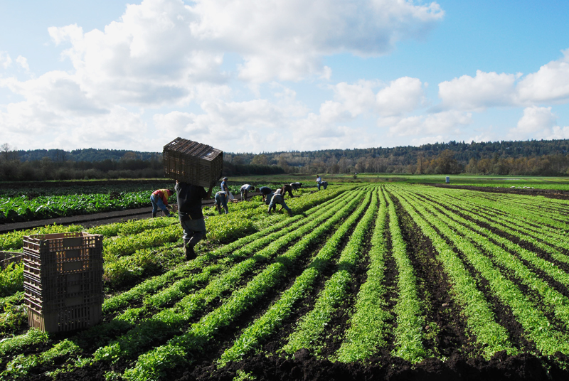 The fact that readers adore Full Circle Farm made us wonder -