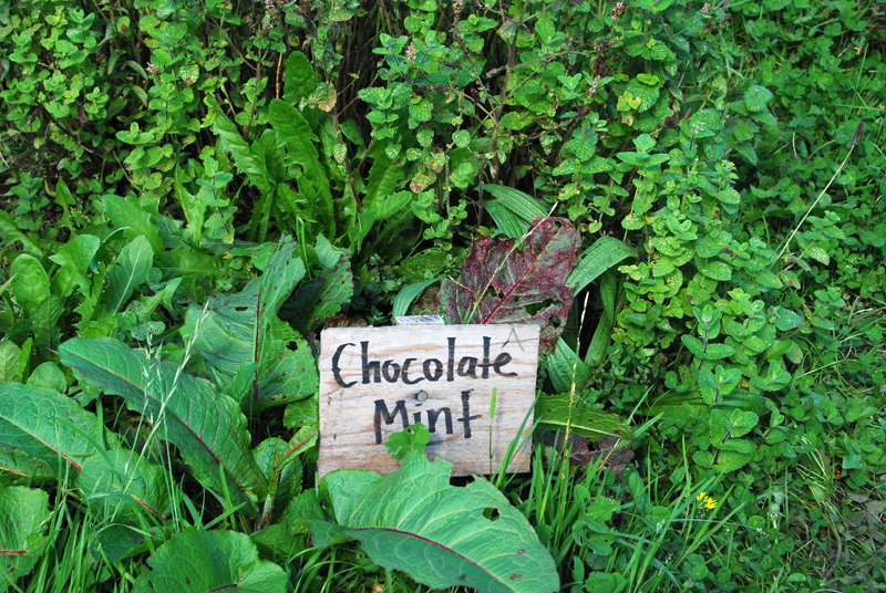 The fact that readers adore Full Circle Farm made us wonder -