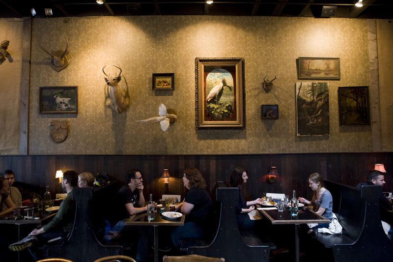 I love African Spoonbills.