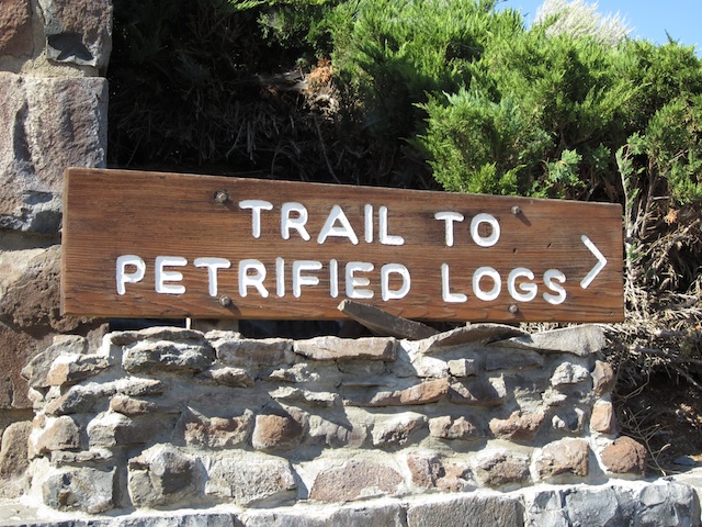 The sign betrays the awesomeness of the Ginkgo Petrified Forest and Wild Horses Monument.