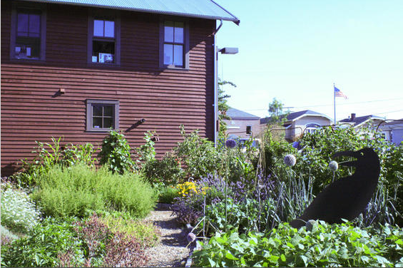 A gorgeous backyard garden in Langley, Whidbey Island.