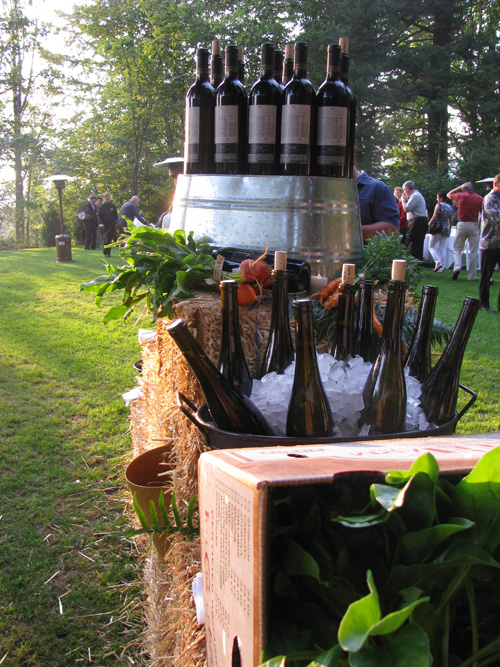 This is my favorite kind of harvest - the wine kind.