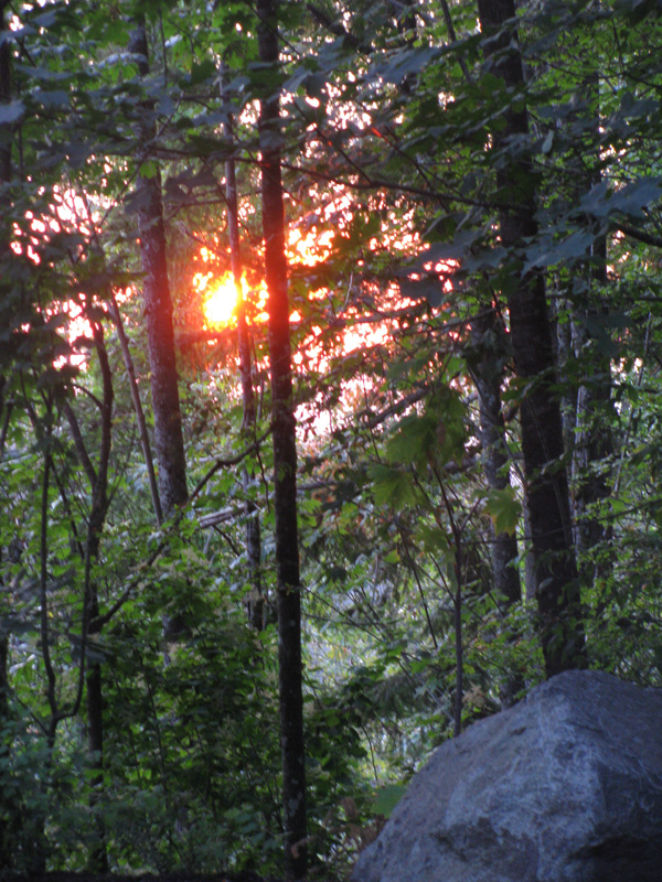 A gorgeous, smoky sun sets behind the trees.