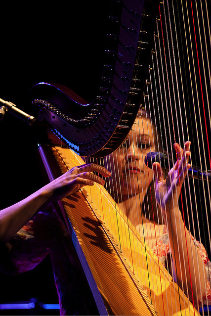 "The nice thing about seeing Pecknold solo every once in a while