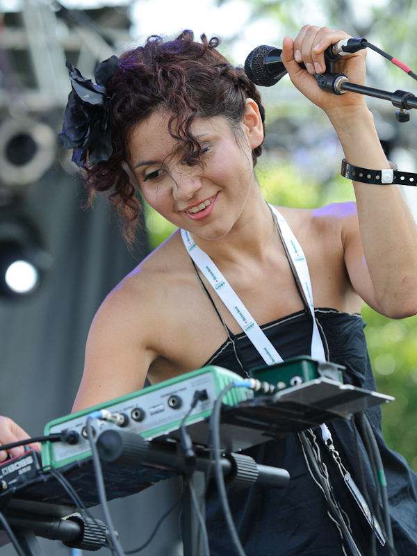 All at the Pitchfork Music Festival 2010 in Chicago.