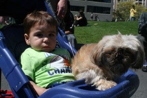 Three year old Eli and his puppy Rambo, are best friends