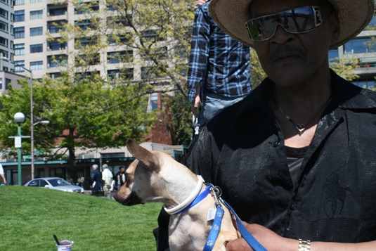 He's spoiled as hell, says Mini's owner.