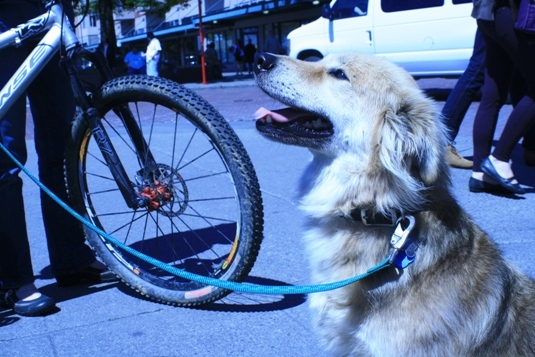Roo got some lunch at Pike Place before heading to Canada
