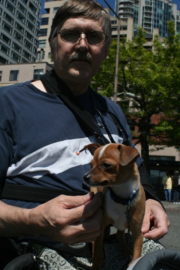 Rocko is only 12 weeks old, but his owner, Calvin, says he won't be getting much bigger.